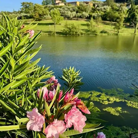 Szálloda Hotel Lago Verde 3*